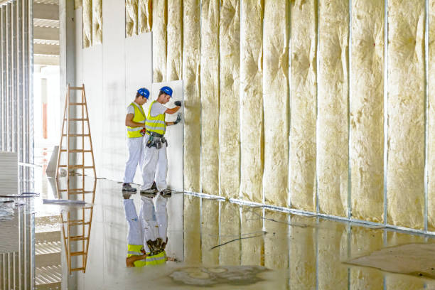 Best Residential Insulation in Spring Hill, KS